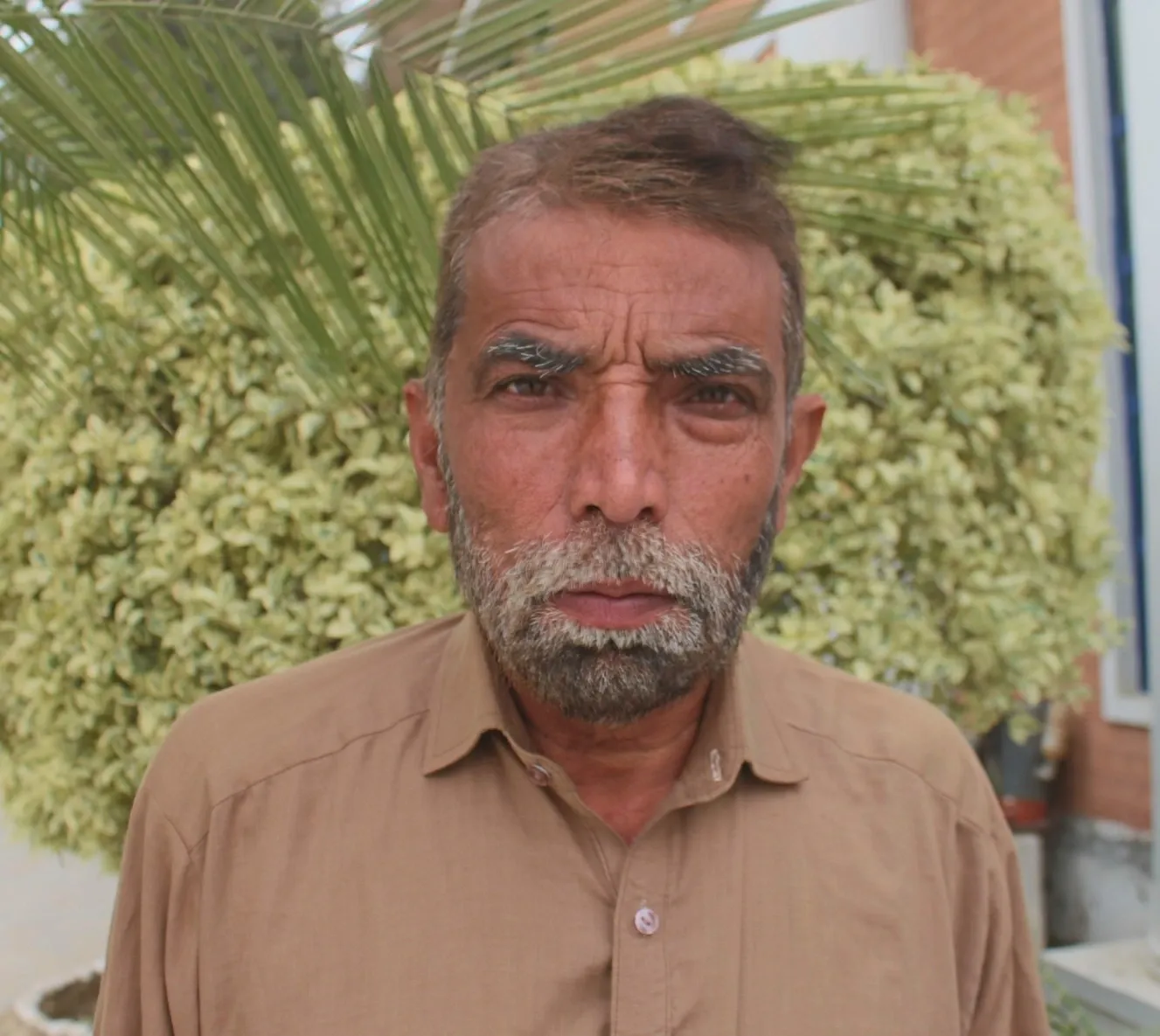 Gardener - Taza Gul
